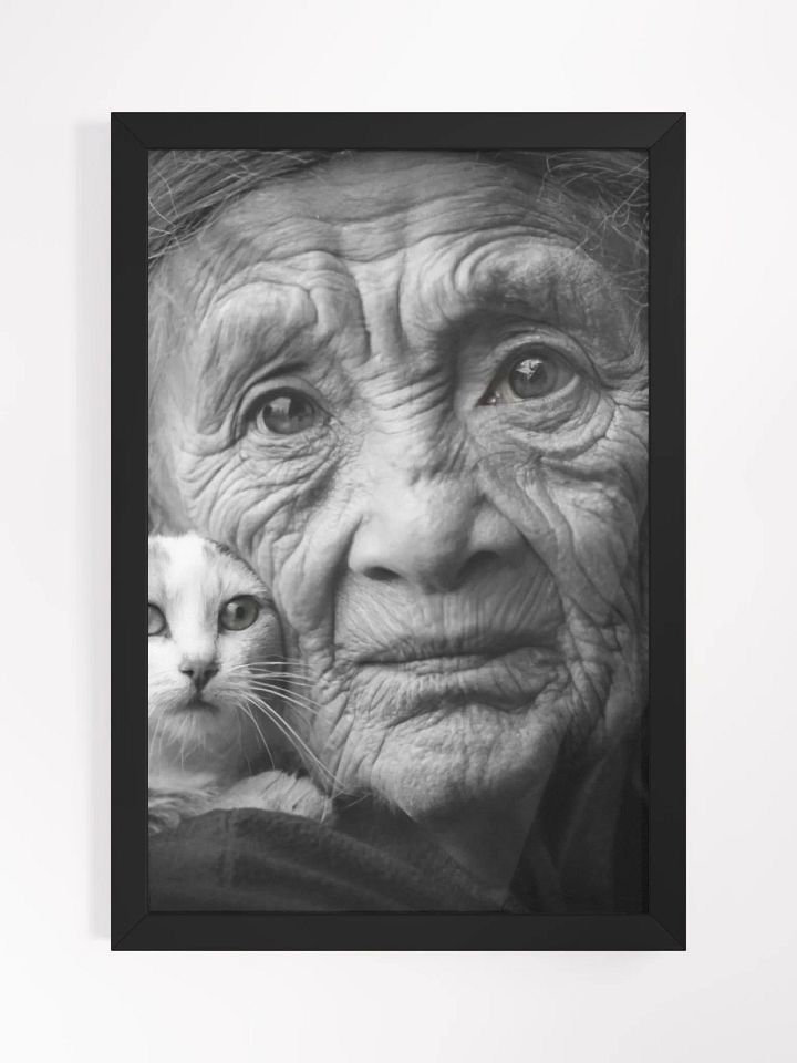 Timeless Grace: Wrinkles of Wisdom and the Warmth of Feline Companionship product image (1)