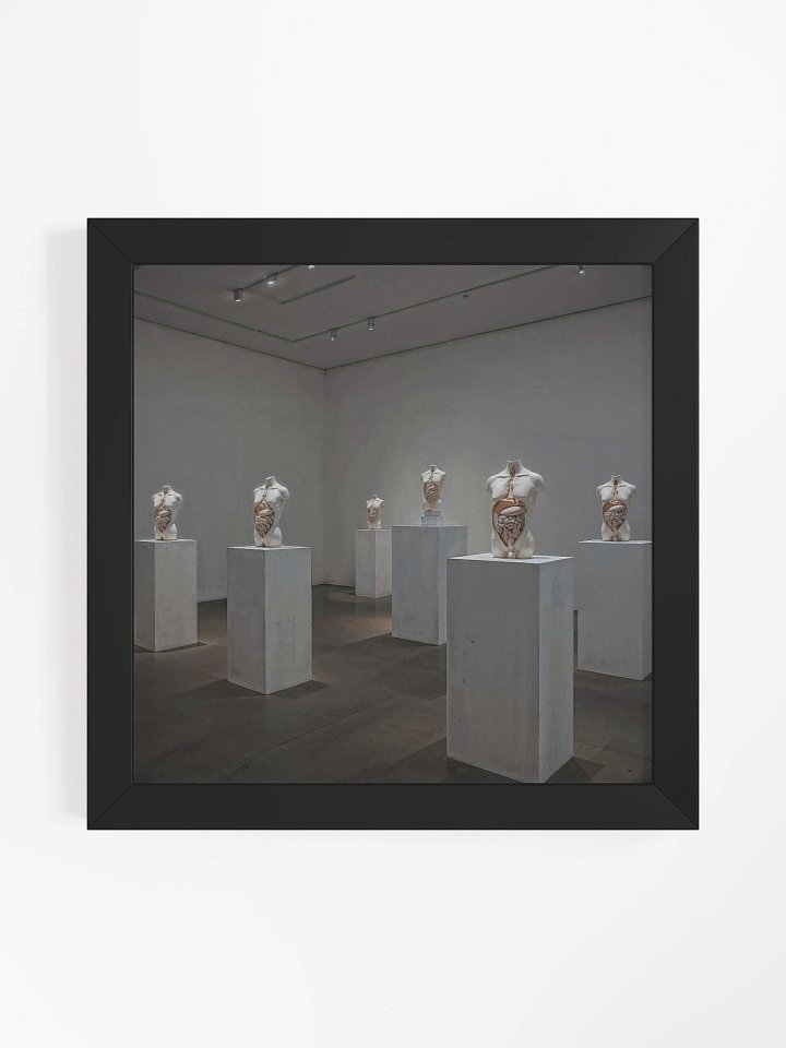Anatomy of Silence Framed Print product image (1)