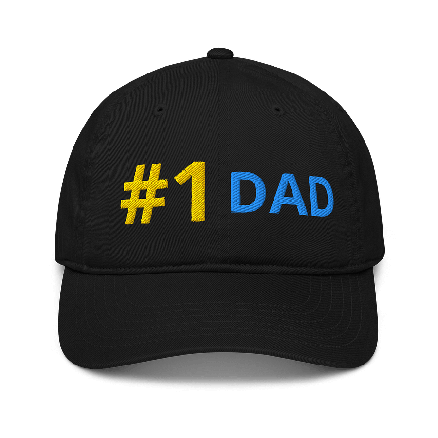 Organic #1 DAD Hat product image (1)