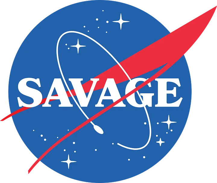 Savage Meatball Magnet (2 in) product image (1)