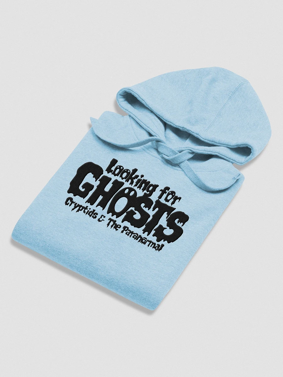 Looking For Ghosts (Haunted Hoodie) product image (4)