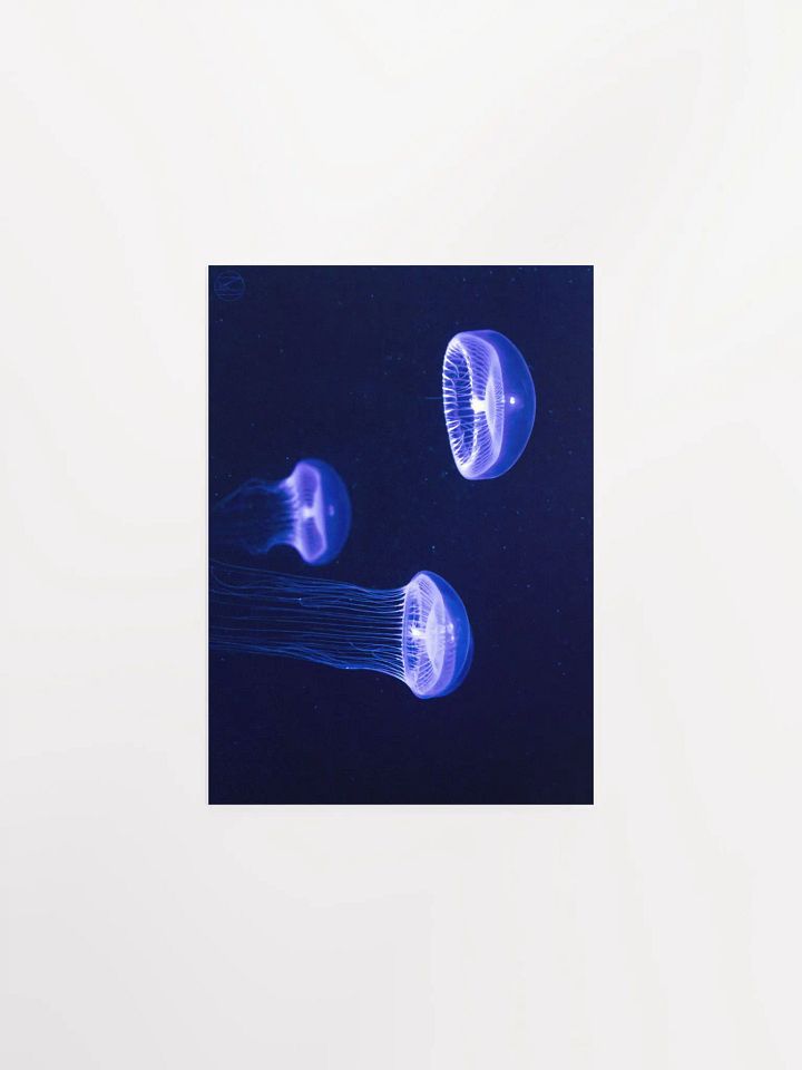 I see the light Print product image (2)