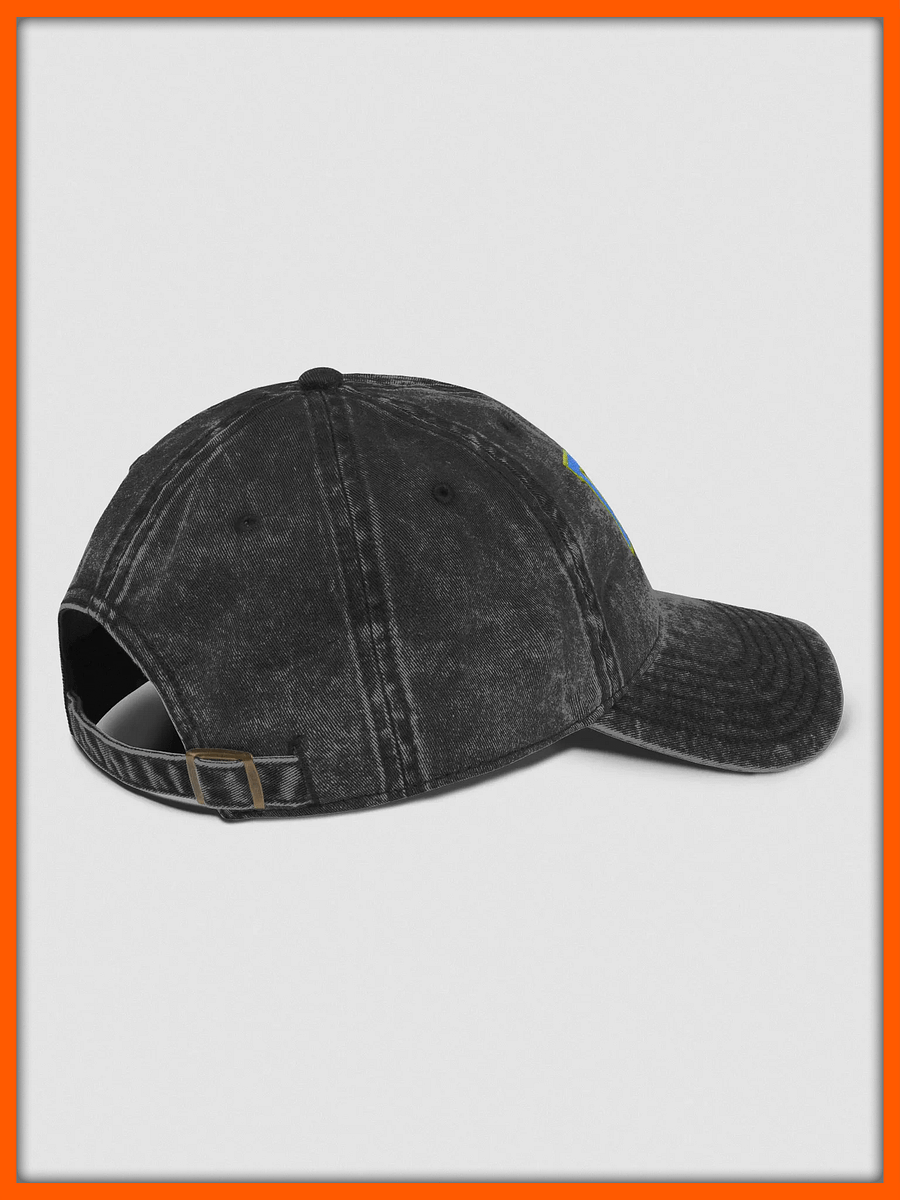 D2S “For Ransom” Dad Hat product image (4)