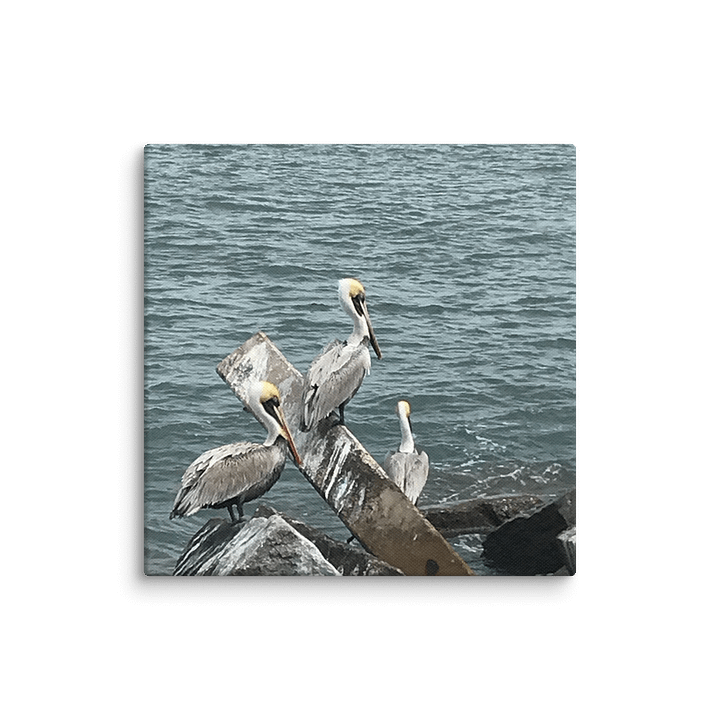 Coastal Observers Canvas Collection product image (7)