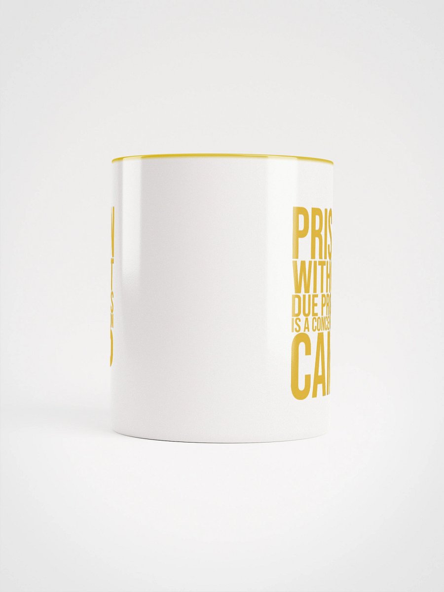 Due Process Concentration Camp Mug- Being Liberal product image (14)
