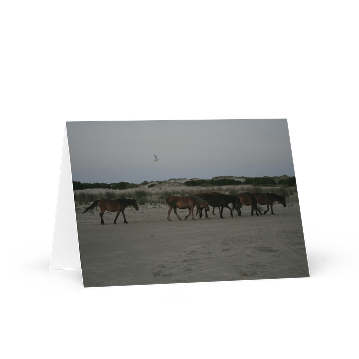 Seaside Serenity Greeting Card product image (1)