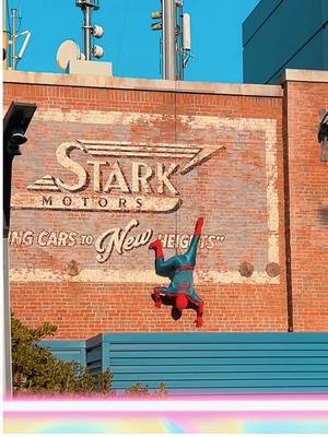 Spiderman making an appearance at Disneyland ❤️🕷️ I didn’t stream Monday and Tuesday this week because I was at Disneyland with my family! My kiddo was so excited to see Spiderman swinging around and climbing walls #disneylandcalifornia #spidermancosplay 