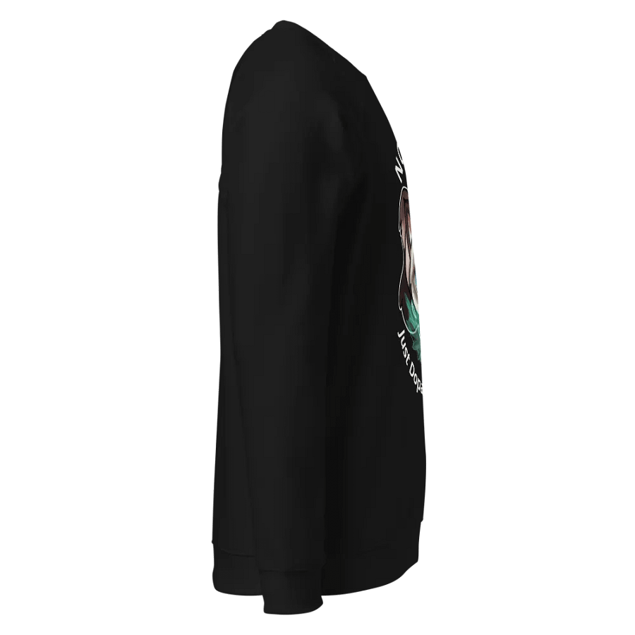 Not Lazy - Organic Raglan Sweatshirt product image (8)