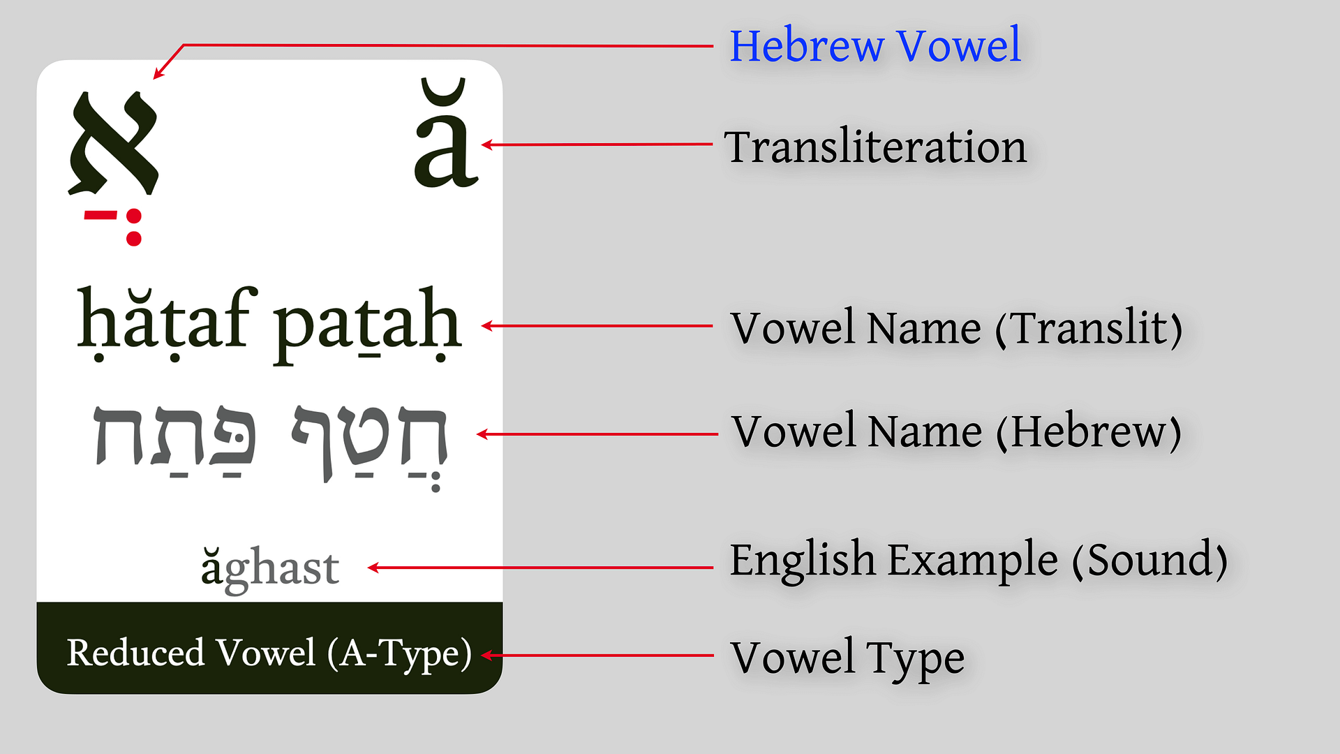 Biblical Hebrew Flashcards - Alphabet & Vowels product image (6)