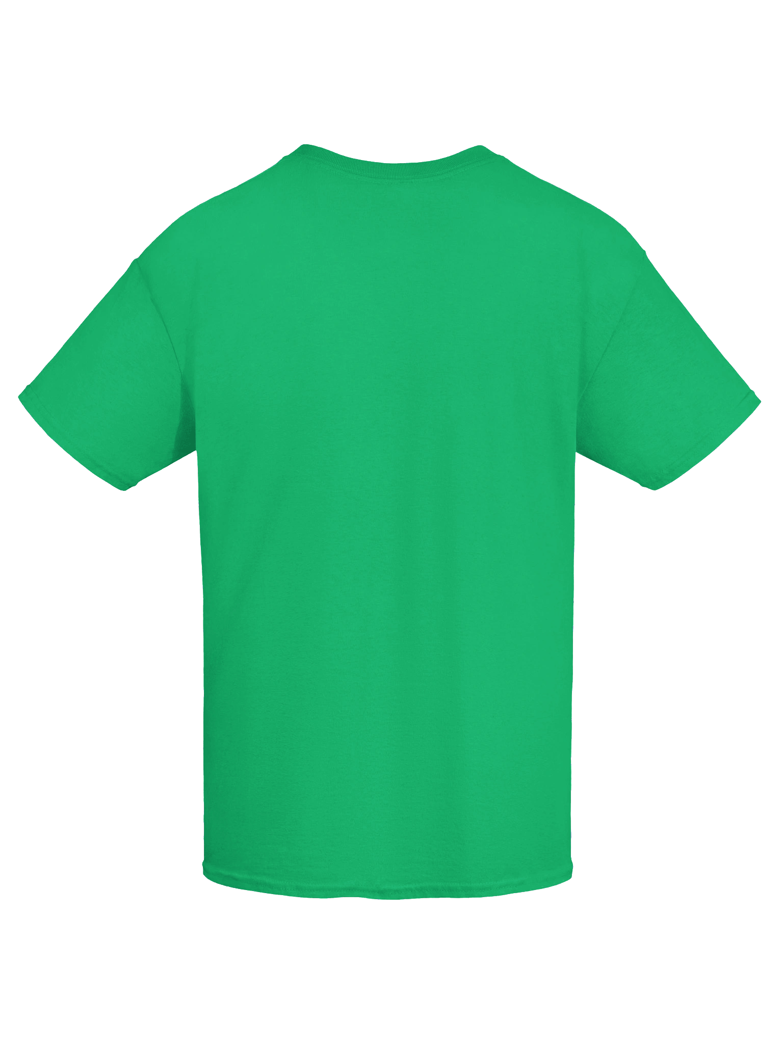 AppalShirt (Green) product image (9)