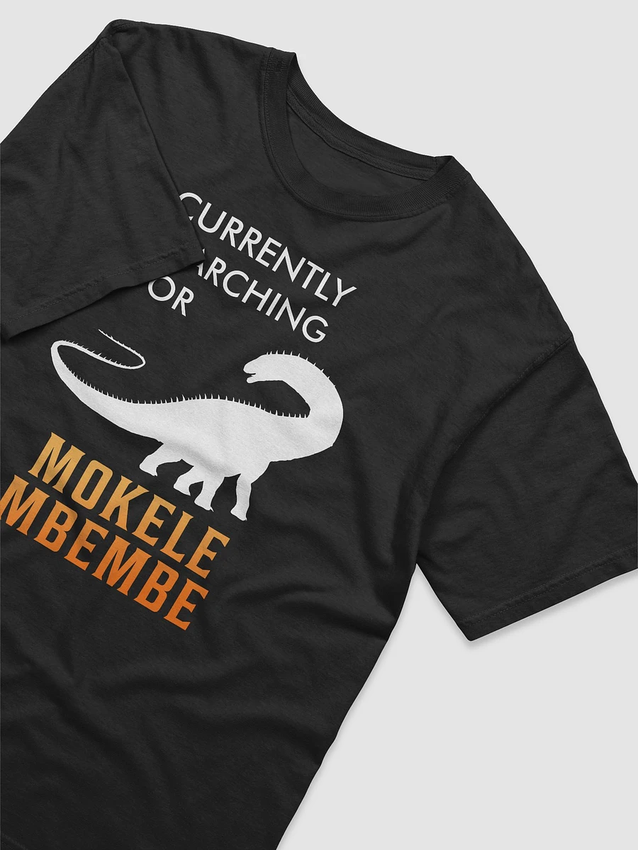 Searching for MOKELE MBEMBE T-Shirt (Black) product image (3)