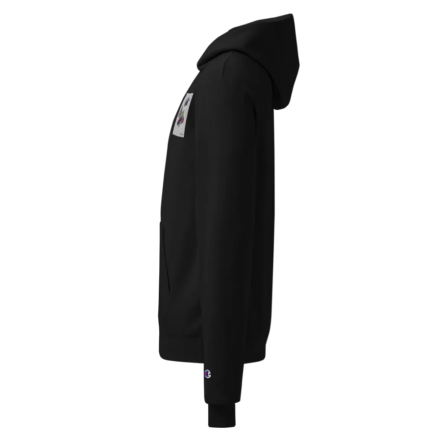 Kid Airplane (Champion Unisex Hoodie) product image (4)