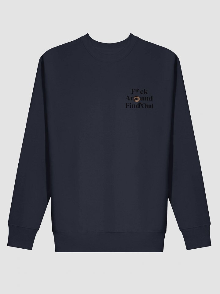 Eye-Catching 'F*ck Around Find Out' Sweatshirt product image (13)