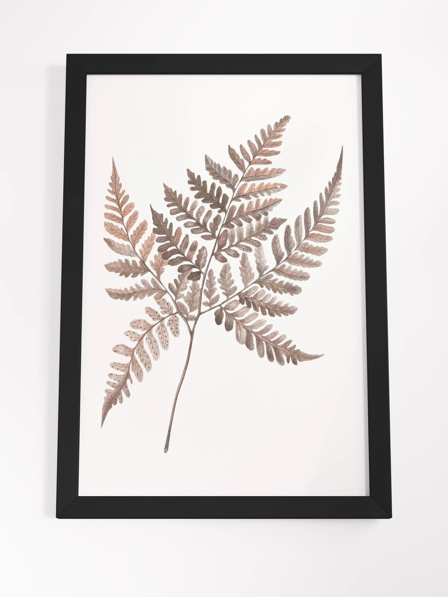 Ecotone Fern #3 Framed Print product image (4)