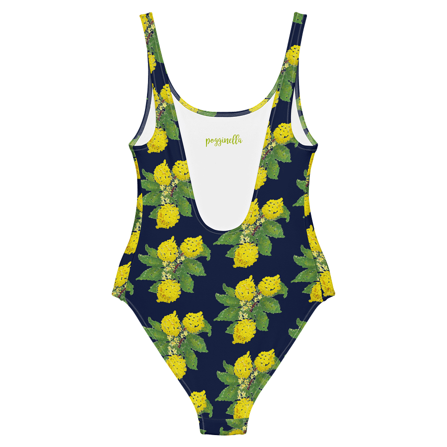 Lemon Love Blue One-Piece Swimsuit product image (7)