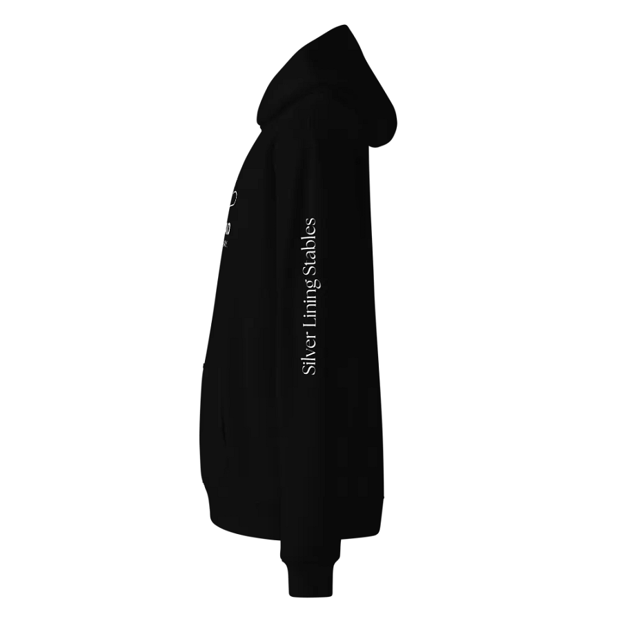 HORSE DAD Premium Hoodie product image (3)