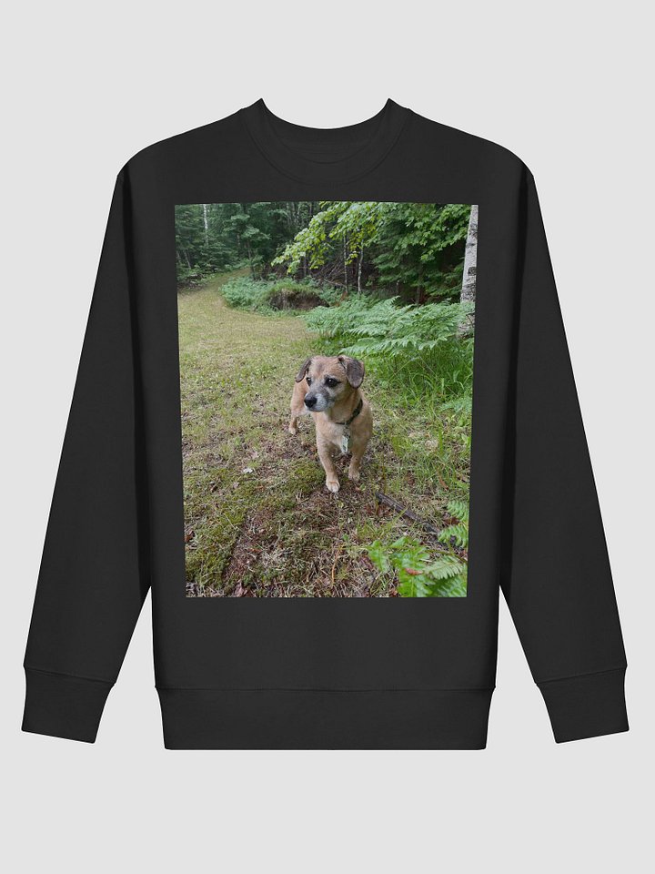 Forest Rocky Sweater product image (7)