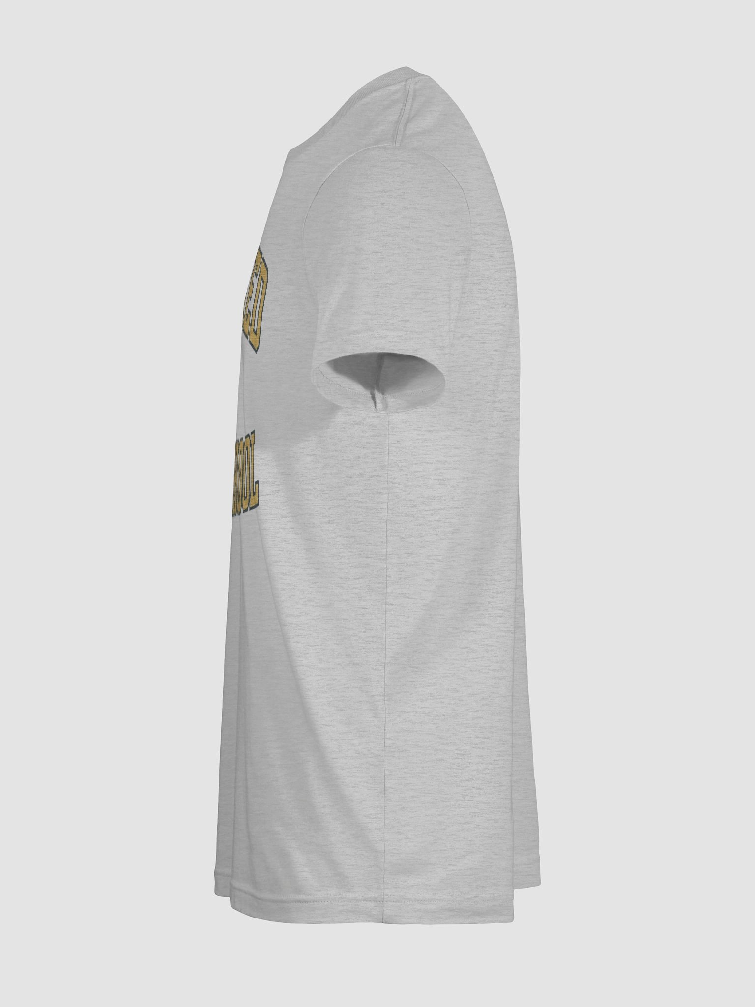 Peaked In Highschool Tee product image (43)