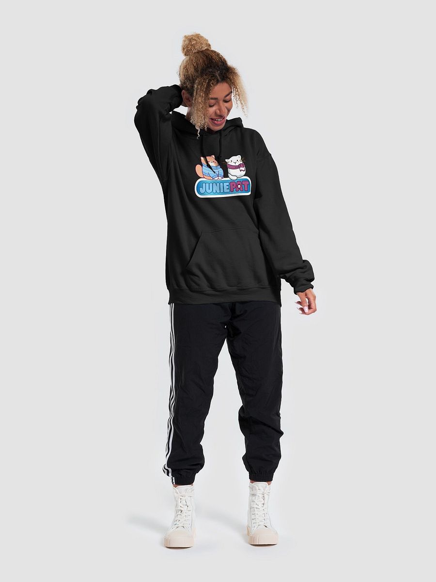 Winter Cool Cats Hoodie product image (47)