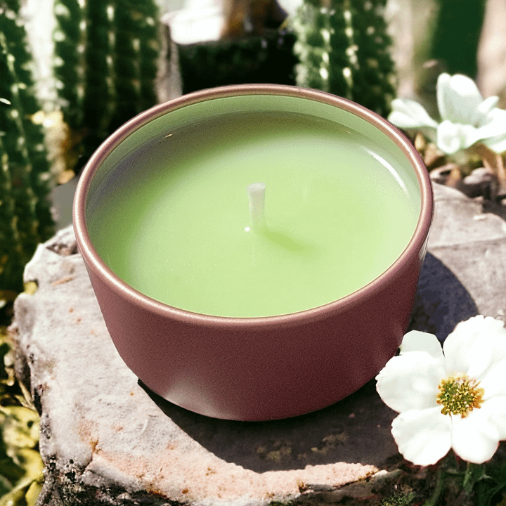 Cactus Jade Candle (1.5-7oz) product image (1)