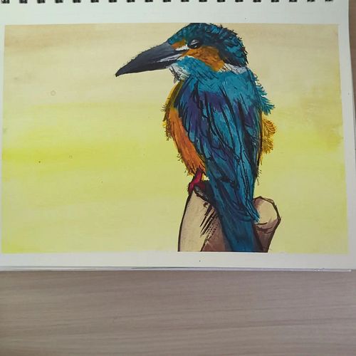 #kingfisher #gouache #paint #art