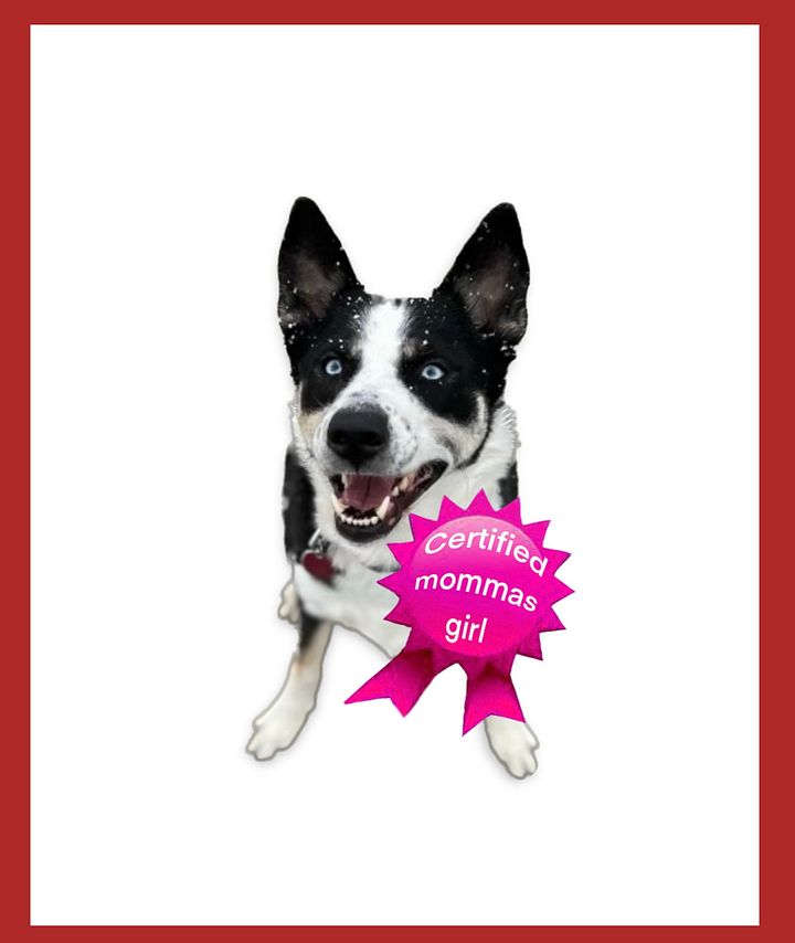 Certified Rhain Sticker product image (1)