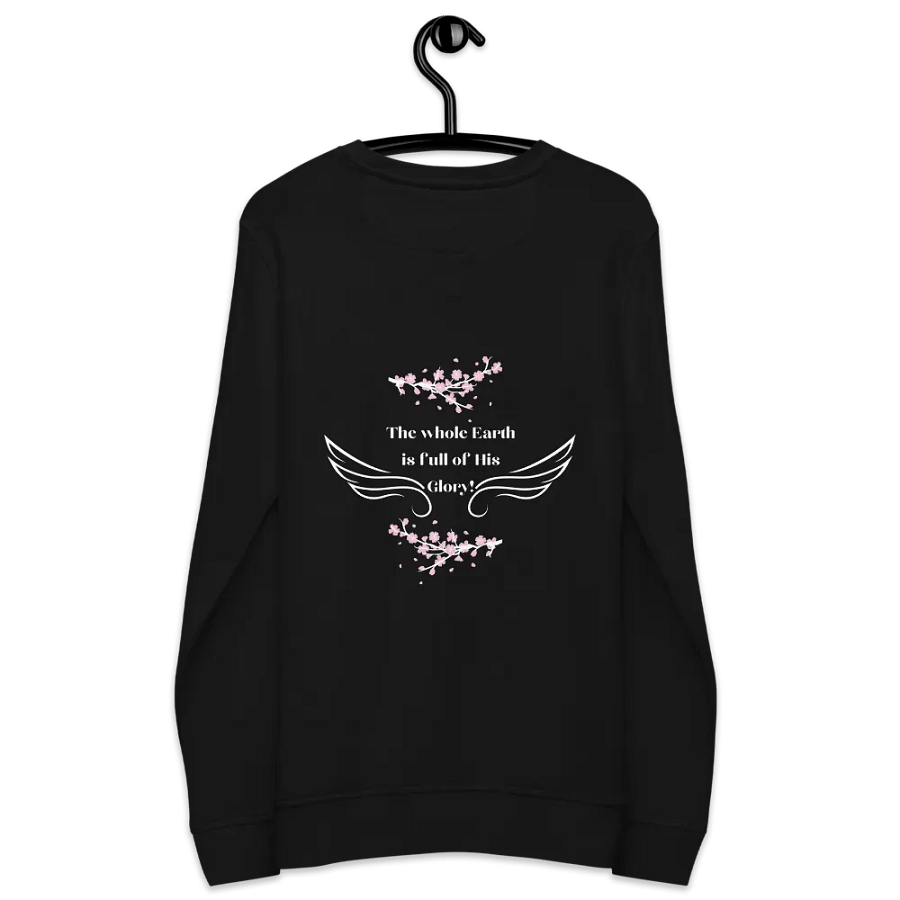 Is 6:3 Organic Cotton Sweatshirt! product image (3)