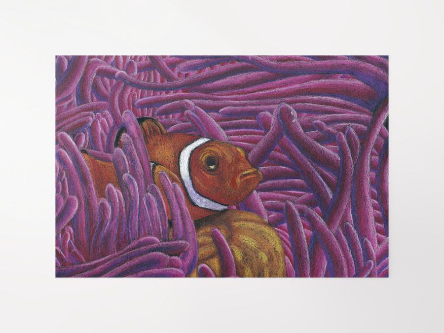 Clown Fish Print product image (7)