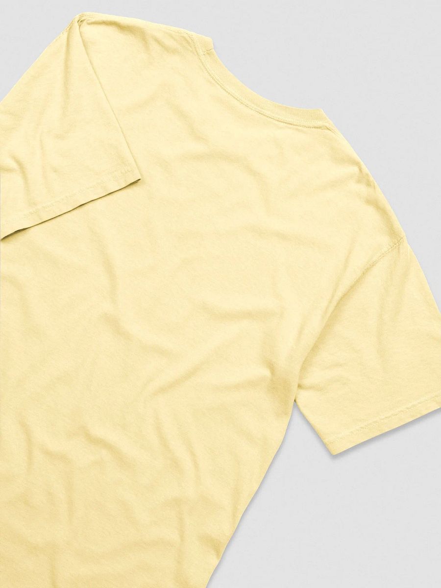 Ban Bananas Embroidered Tee product image (4)