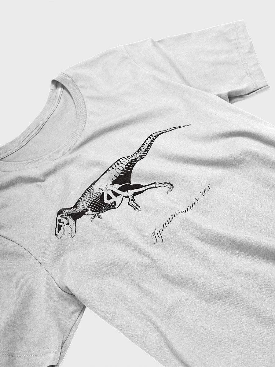Tyrannosaurus rex Skeleton product image (15)