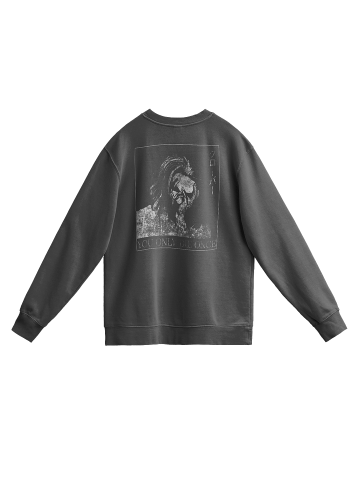 YOU ONLY DIE ONCE - Sweater product image (2)