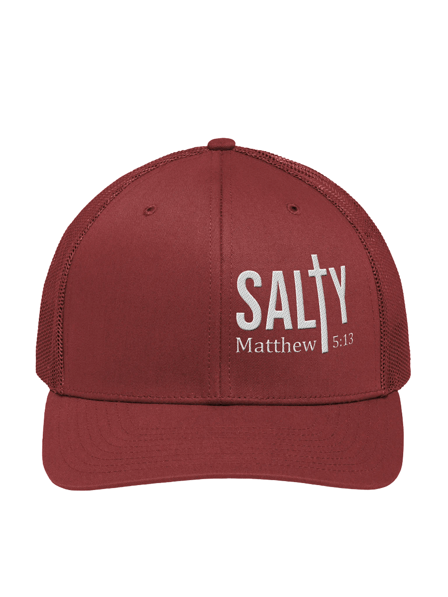 Salty Snapback product image (2)