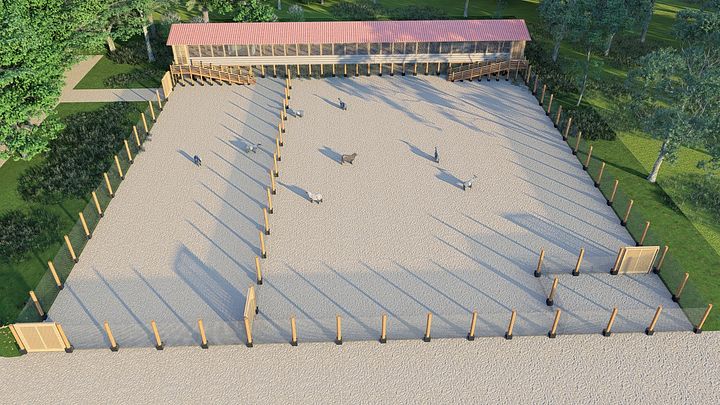 400 Free Range Goats/Sheep Design Plan product image (1)