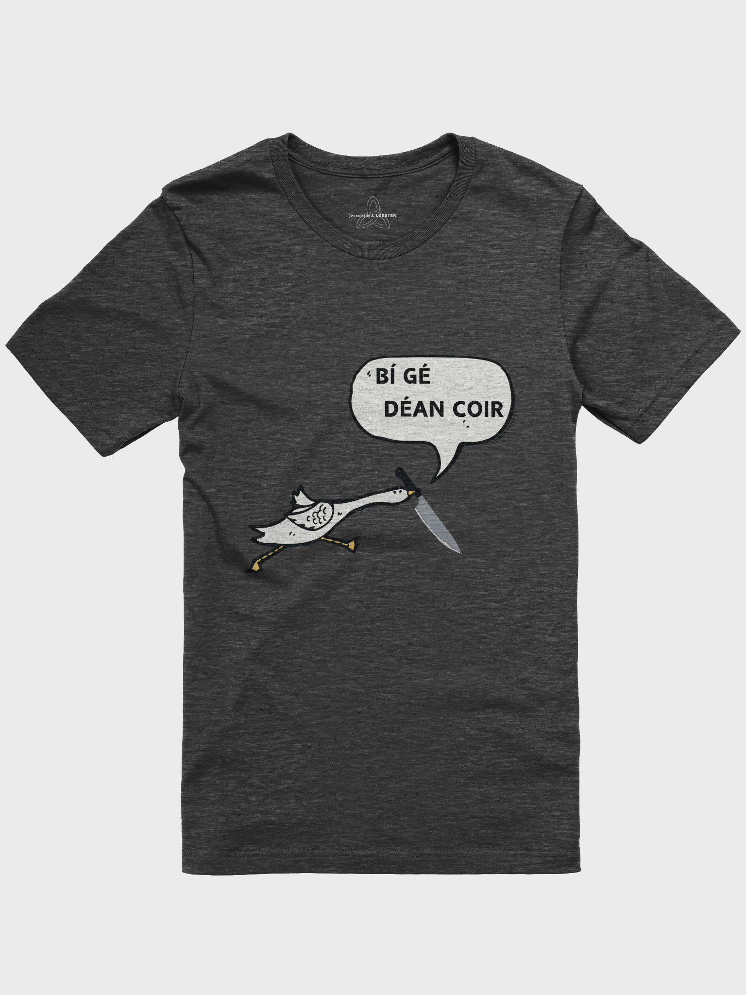 Bí Gé Déan Coir T-shirt product image (1)