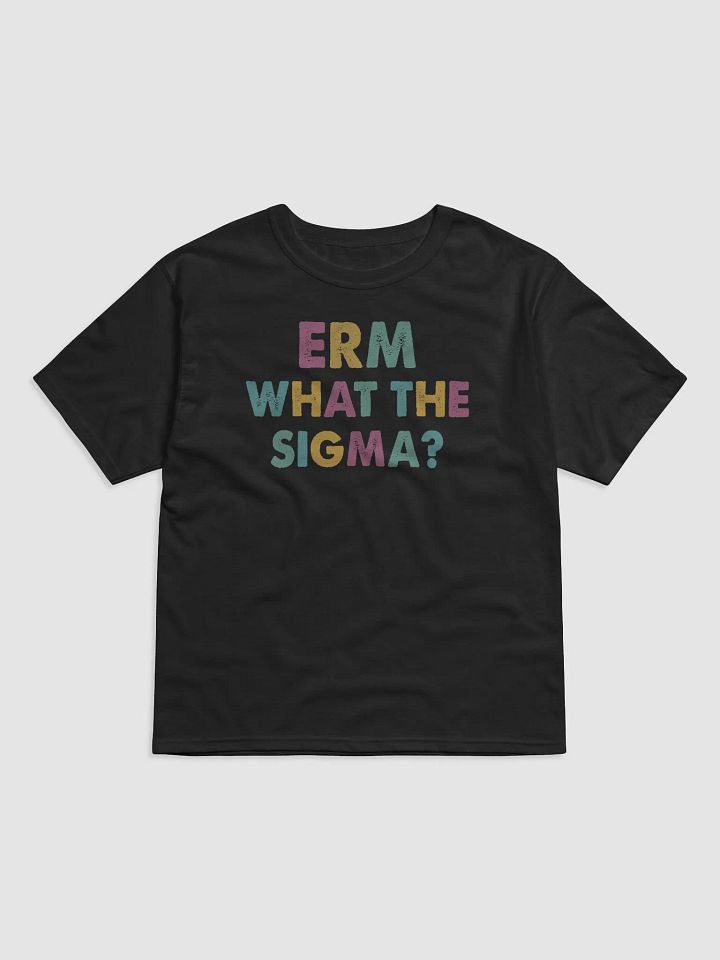 Erm, What the Sigma? - Funny T-Shirt product image (3)