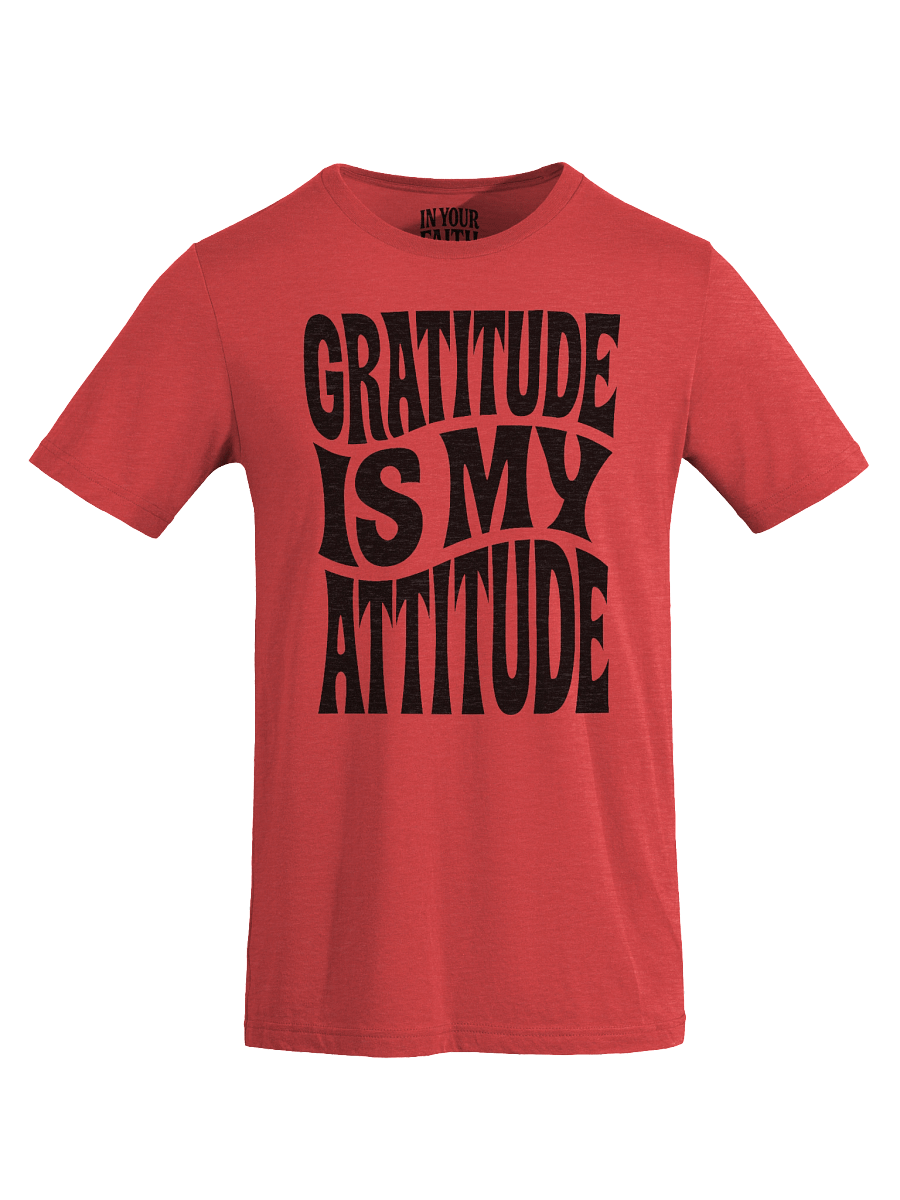 Gratitude Is My Attitude T-Shirt product image (41)