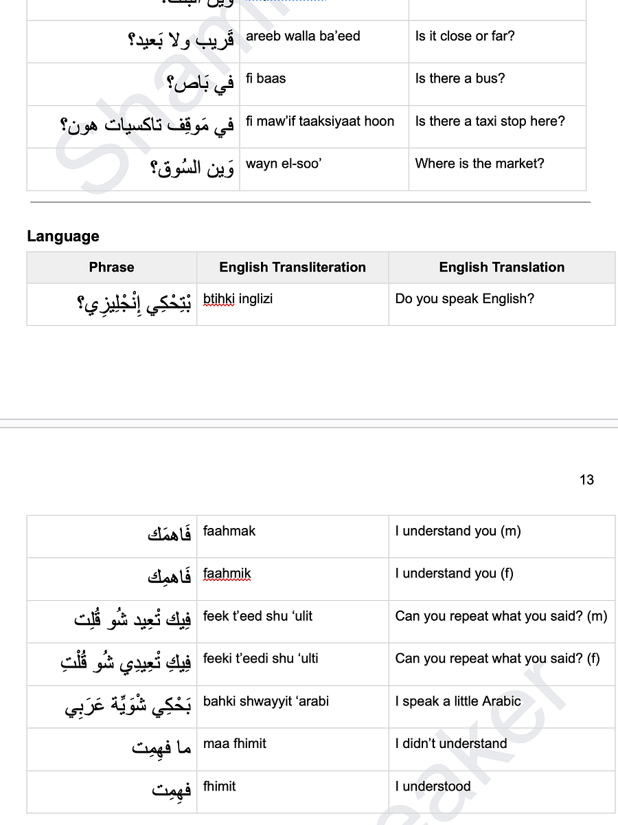 150 Everyday Phrases in Levantine Arabic product image (3)
