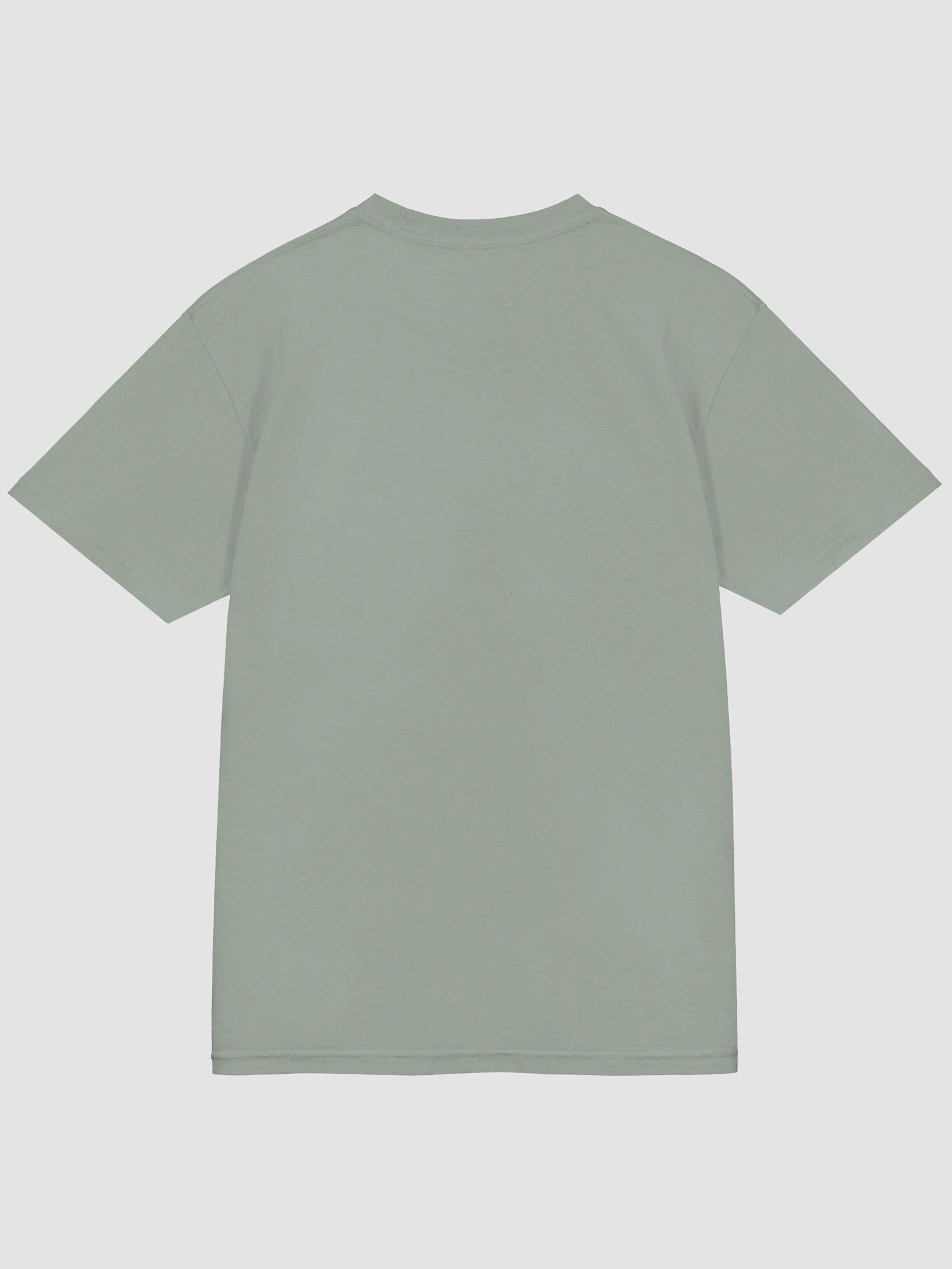 Spartan Legacy Tee product image (4)