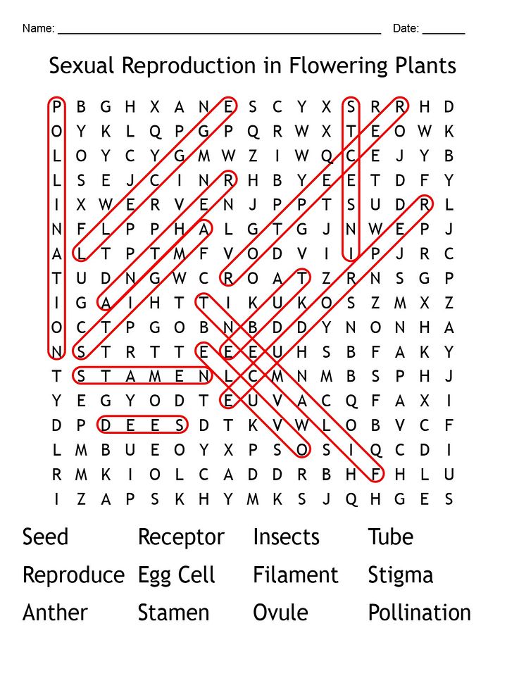Flowering Plants Sexual Reproduction Word Search – Printable Biology Puzzle product image (2)
