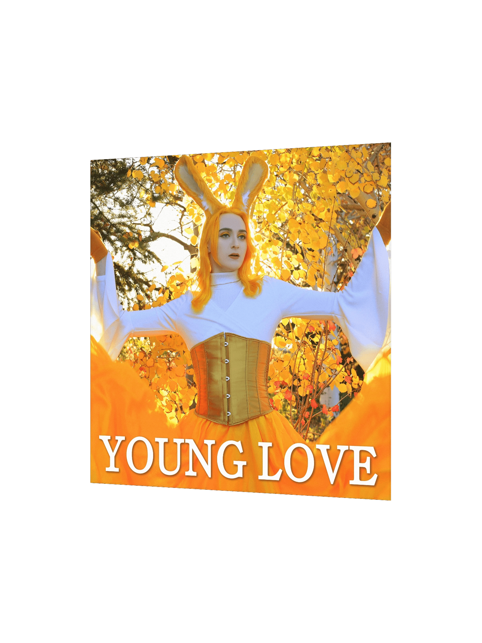 Young Love Poster [1 of 4] product image (10)
