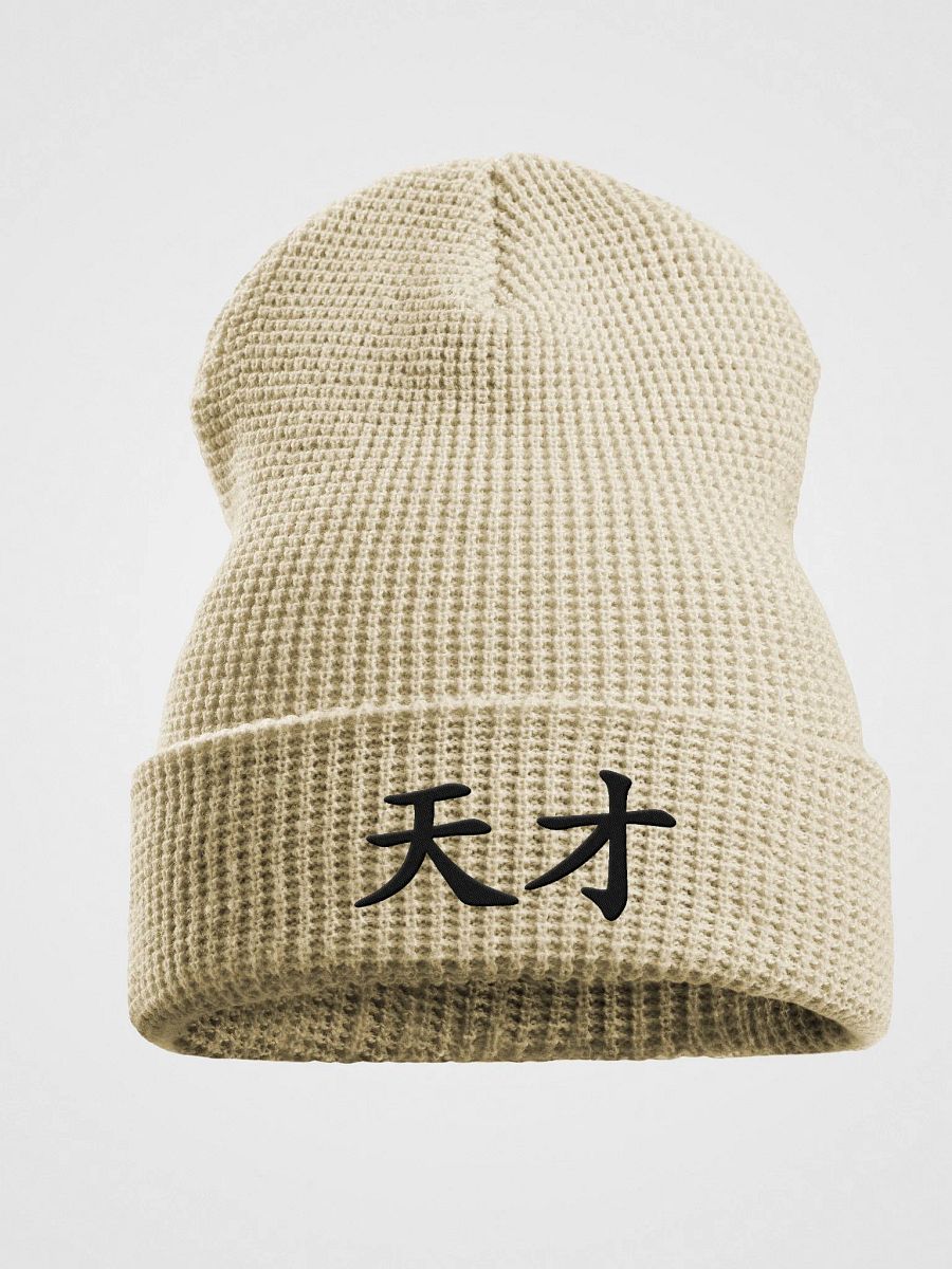 Genius Waffle Beanie product image (2)