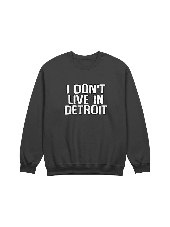 Detroit Sweater product image (1)