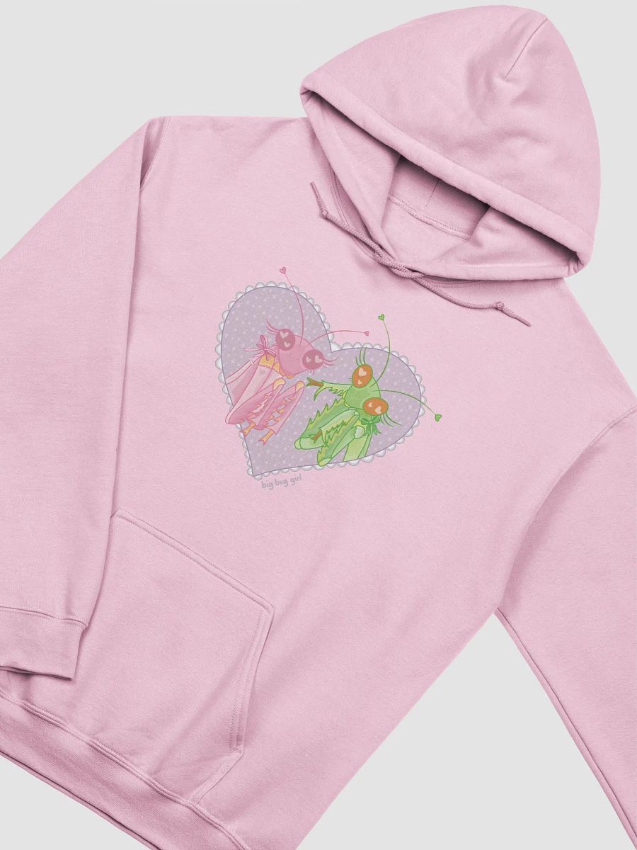 lou and friends classic hoodie product image (2)