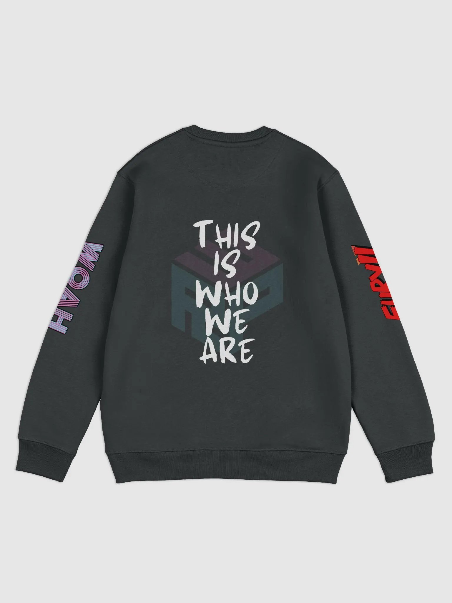 RPW Brand Logos on Arms Hoodie product image (5)