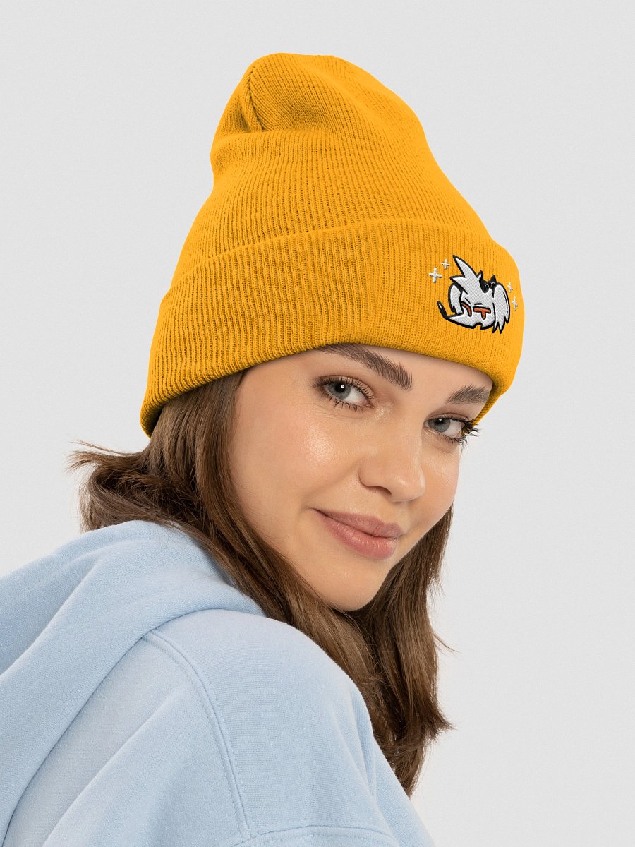 ROBDOG LOGO BEANIE product image (4)
