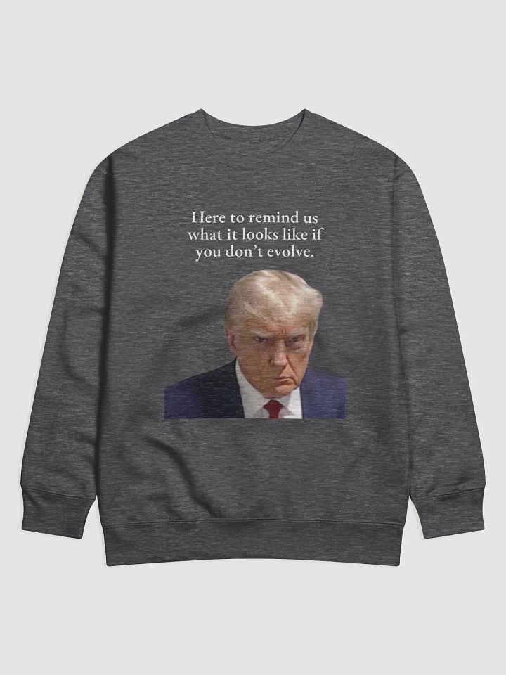 Here to remind us... Premium Sweatshirt product image (5)