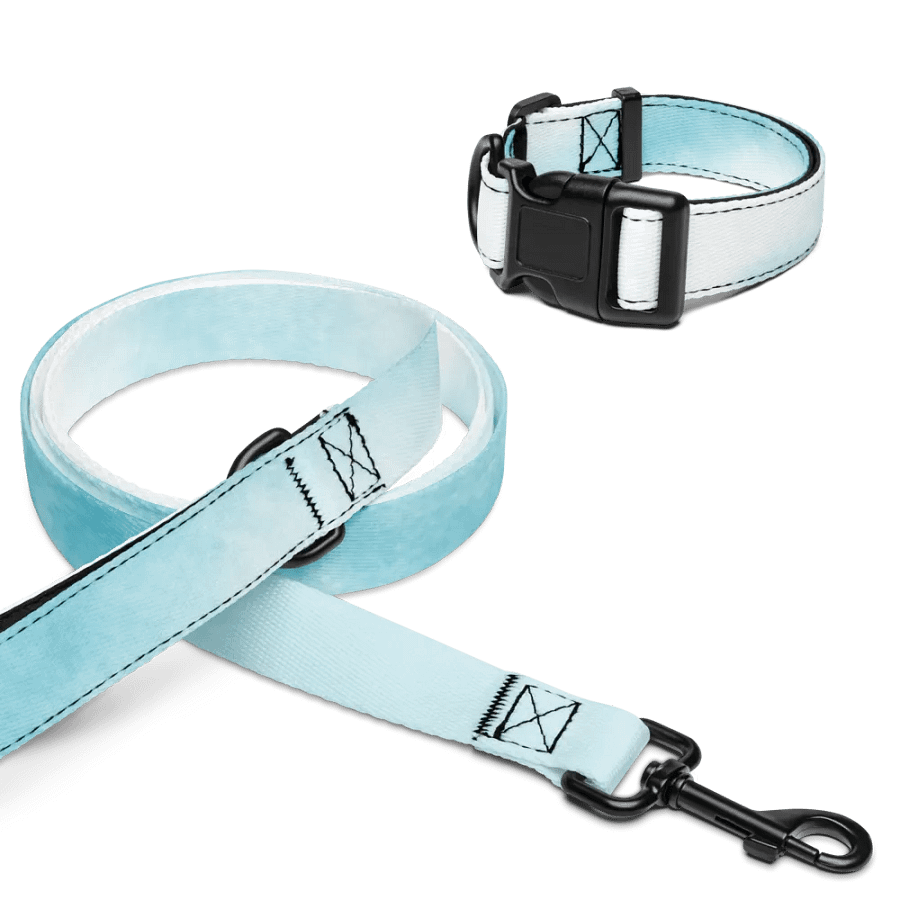 Skyblue Dog Leash & Collar product image (6)