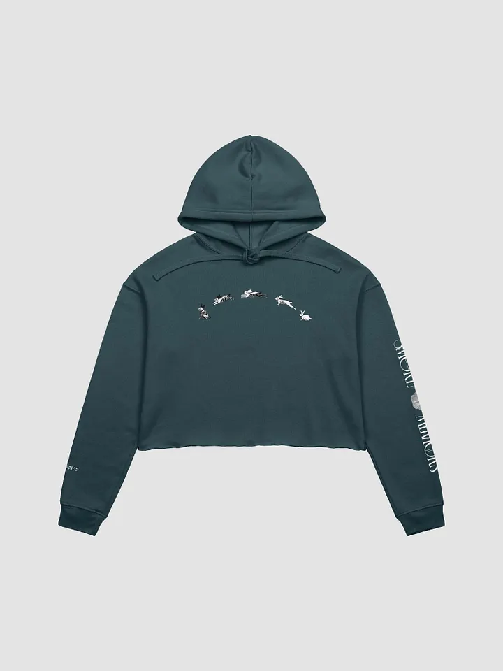 White Rabbit's Curse Crop Hoodie product image (4)