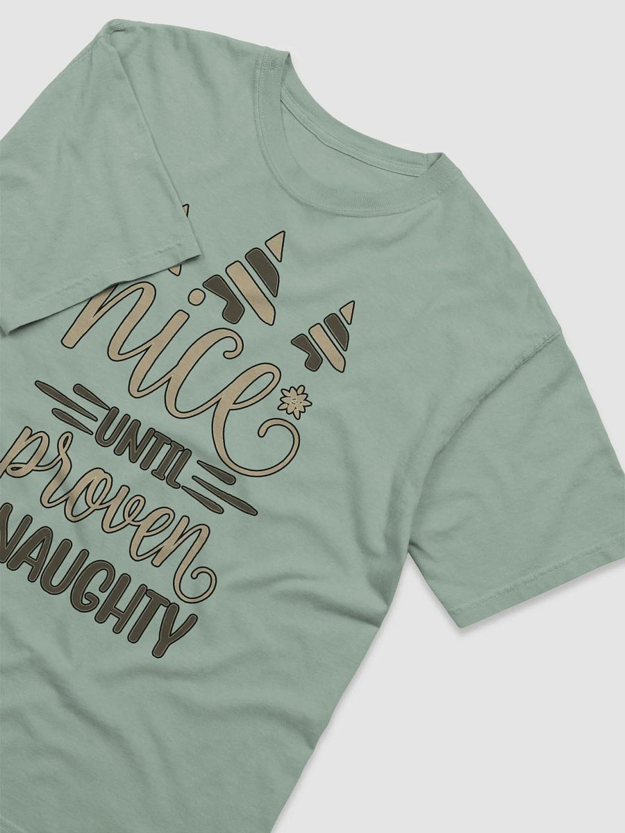 NICE UNTIL PROVEN NAUGHTY product image (41)