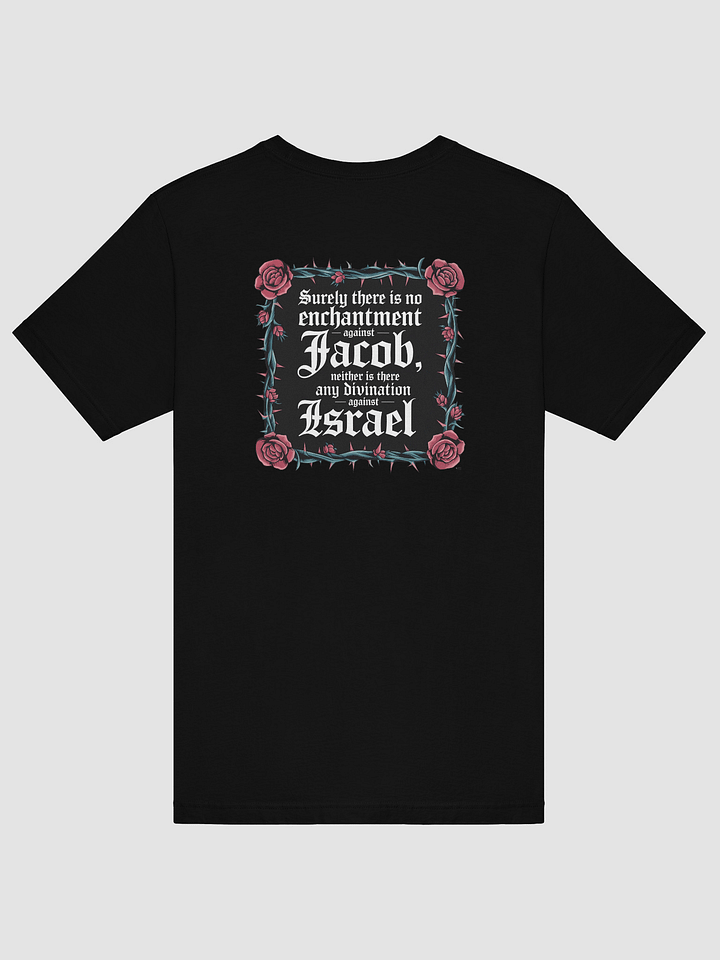 numbers 23:23 tee unisex product image (3)